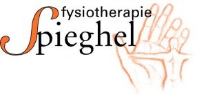 Fysiotherapie-spieghel-logo